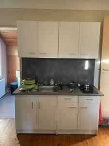Appartements T2 et chambres d-hotes dans ecolieu arts, ride et autres activites : photos des chambres