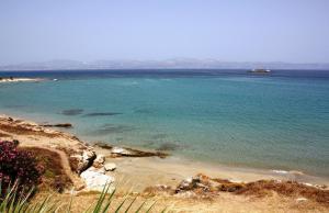 Blue Dolphin Paros Greece