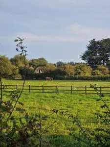 Luxury Seaside Caravan - Hill Head