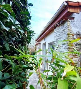 Studio, aire de loisirs avec piscine - Les Fosses