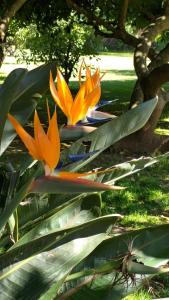 Hotel Rancho Las Margaritas