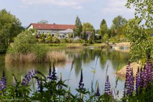 Camping Forteca, parcele kempingowe nad wodą, z WŁASNYM namiotem lub przyczepą