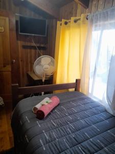 Hostal Newen, Villarrica