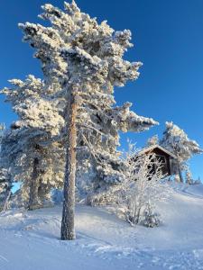 Rompelberg boende i Rättvik