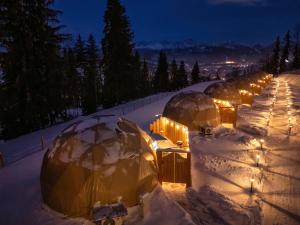 Diamond Glamp & Jacuzzi