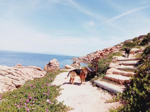 Villetta Sardinia img3