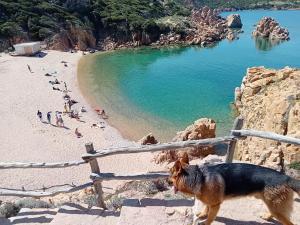 Villetta Sardinia img28