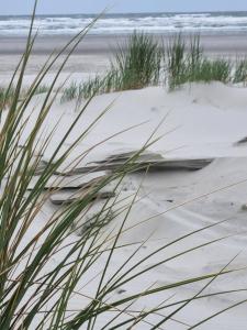 Stacaravan Duingras Ameland