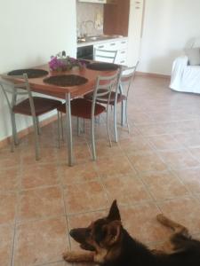 Villetta Sardinia img31