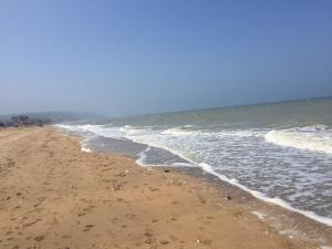 Appartements Apt bord de mer, vue exceptionnelle,pres Deauville : photos des chambres