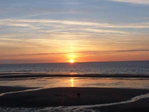 Appartements Apt bord de mer, vue exceptionnelle,pres Deauville : photos des chambres