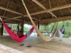 Kichwa Pathfinder Camping Expedition