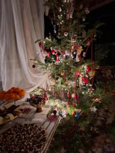 Casa cu levănțică