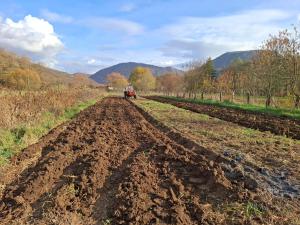 Casa cu levănțică