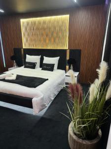 Appartements Cine &chill : photos des chambres