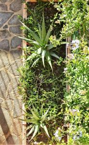 Calasetta, il tramonto sul mare img18