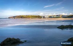 Driftwood - Broad Haven