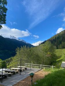 Chalet Rosablanche, since 1929 - nature & big sunny terrace - free shuttle to ski slopes