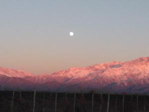La Bodeguita y El Bodegón Casa Tika