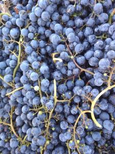 La Bodeguita y El Bodegón Casa Tika