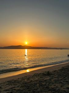 Theoni Apartments Kastraki Naxos