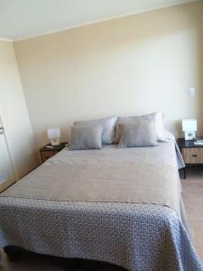 Departamento céntrico y moderno en Osorno