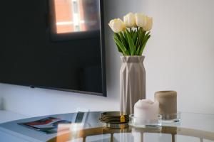 Apartment in Niš, Center! brand-new