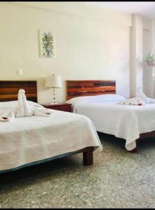 Boutique Hotel Delfin 5th Avenue