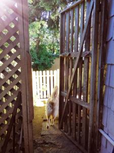 Cabaña kaluz chilhue