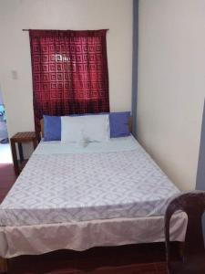 Basios Place Tourist Inn by RedDoorz