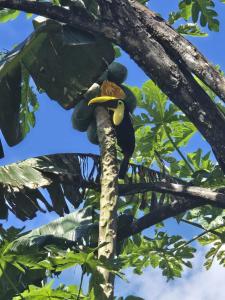 Casa Tucan 2bdr beach house AC BBQ Playa Blanca