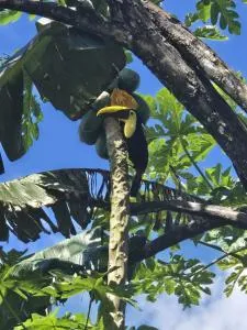 Casa Tucan 2bdr beach house AC BBQ Playa Blanca - Conte