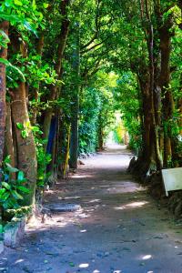 ヴィラ Cy MOTOBU 沖縄本部町 一棟貸し