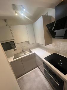 Gorgeous First Floor apartment near Station