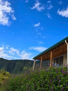 Bosque Tapantí, cerca del PN Tapantí en Orosí, Cartago, Costa Rica