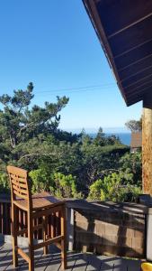Amazing Getaway Oceanview with treehouse feel