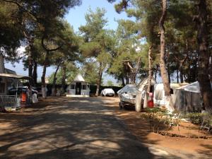 Olympos Beach Pieria Greece