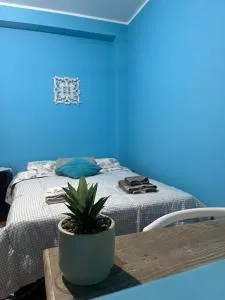 Allyashana chichu - Mazo