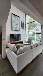 Casa Olivo, Sala a doble altura