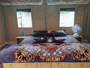 Soma Caves Tents
