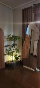 애플, Hongdae Yeontral park