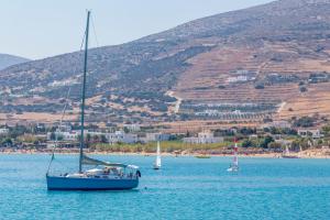 Golden Beach Paros Island, Greece, Paros 844 00, Greece.