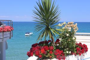 Olympos Beach Olympos Greece