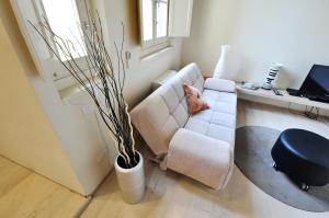 Appartement 1 Chambre (3 Adultes)