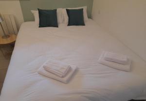 Studio Cosy 15 m2 au fond du jardin