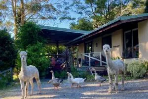 Tranquil farmhouse with sea view, dog friendly - Marlow