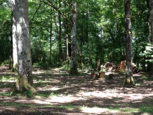 Maisons de vacances le petit clos : photos des chambres