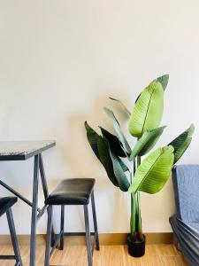 29 Chic Studio Escape