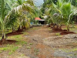 Aanandee Villa - Dasave