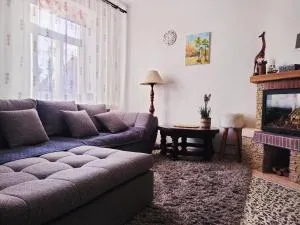 La Brăduți - Viştea de Sus